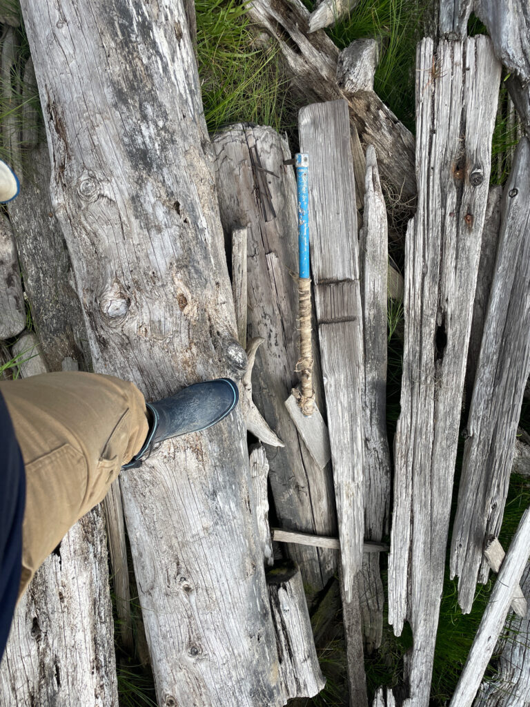 a person standing next to a tree (MyCoast AI)