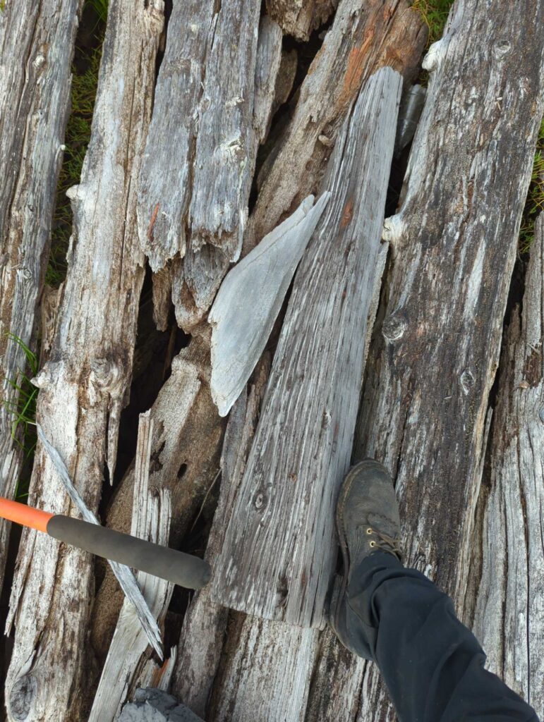 a person's feet on a tree trunk (MyCoast AI)