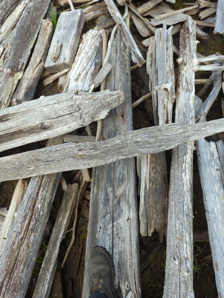 a group of wood planks (MyCoast AI)