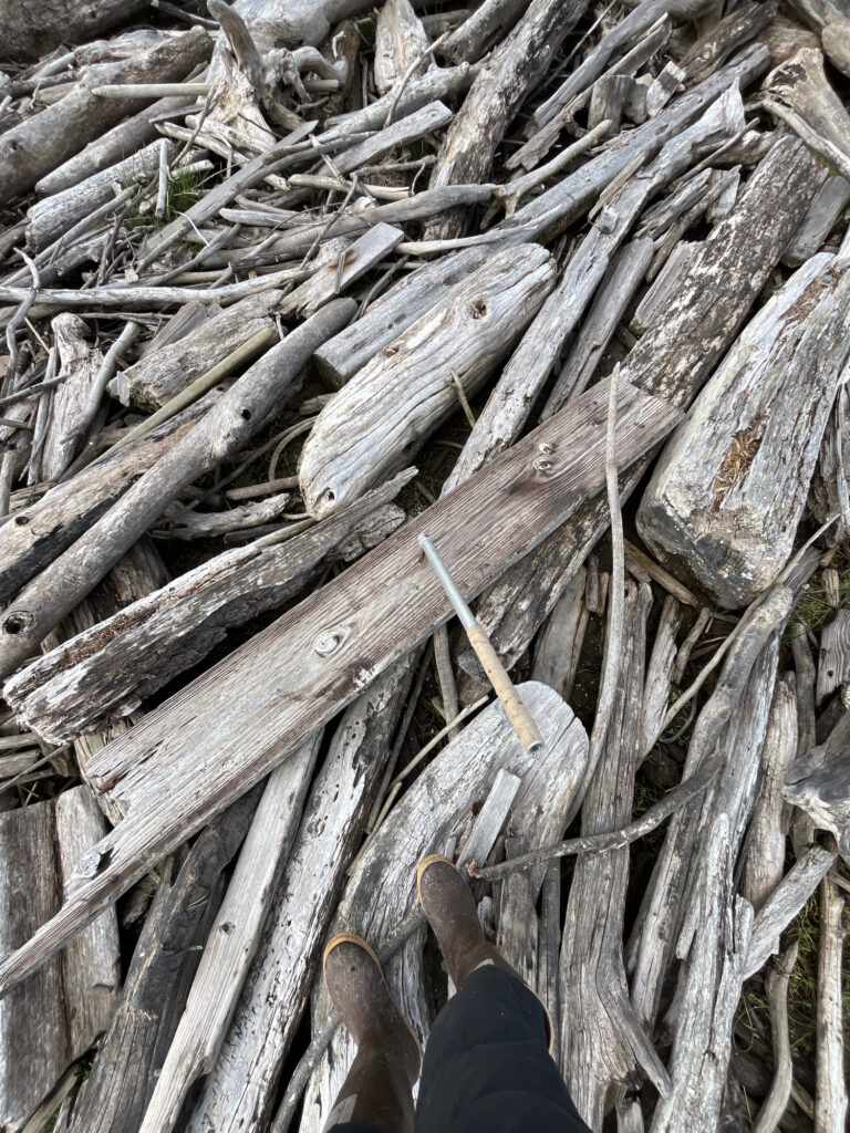 a group of sticks and branches (MyCoast AI)