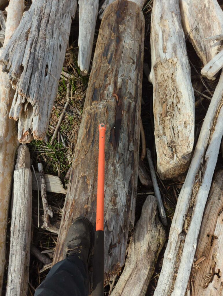 a person's feet on a wooden fence (MyCoast AI)