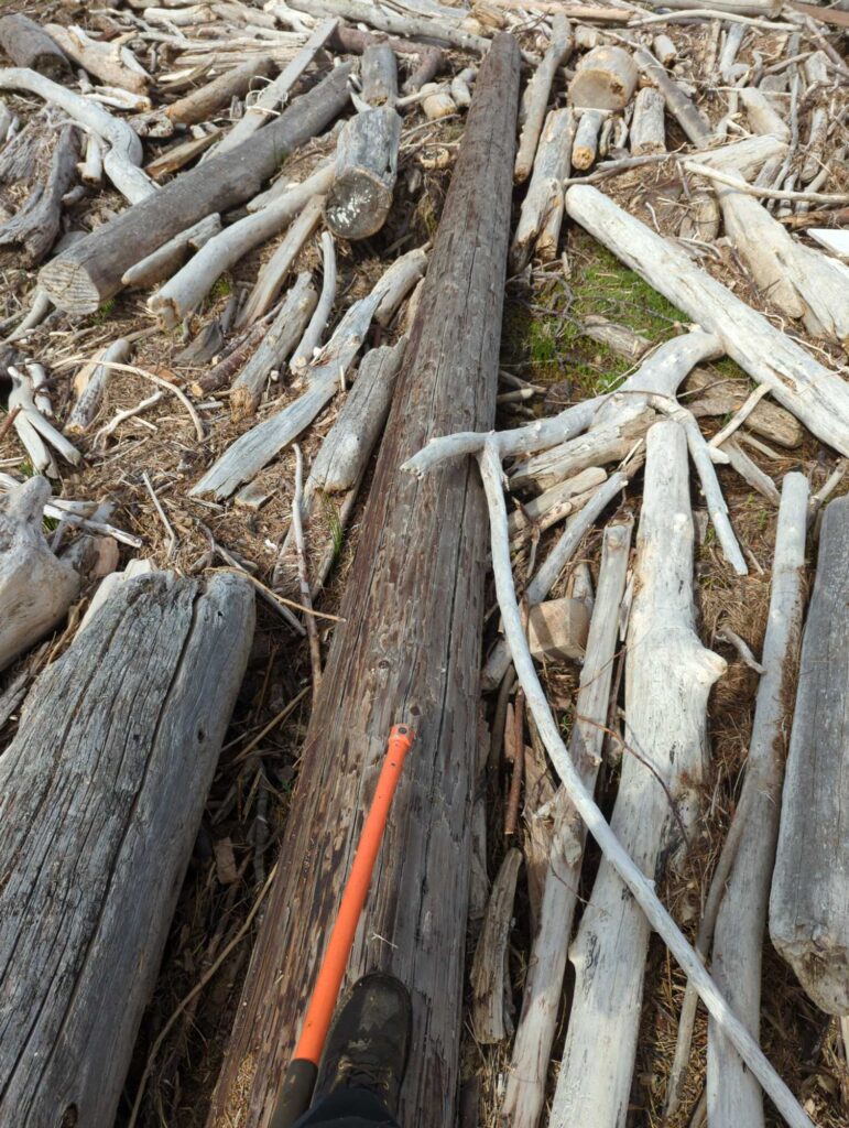 a knife next to a pile of cut up wood (MyCoast AI)