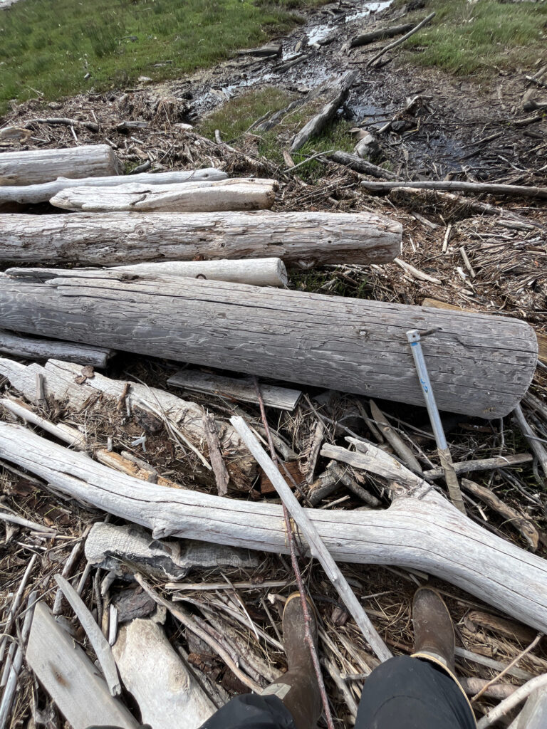 a pile of wood (MyCoast AI)