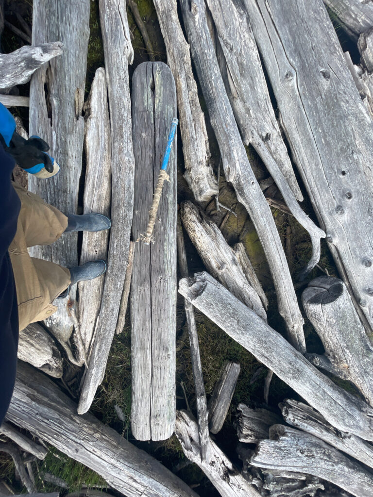 a wooden fence with a blue bird on it (MyCoast AI)