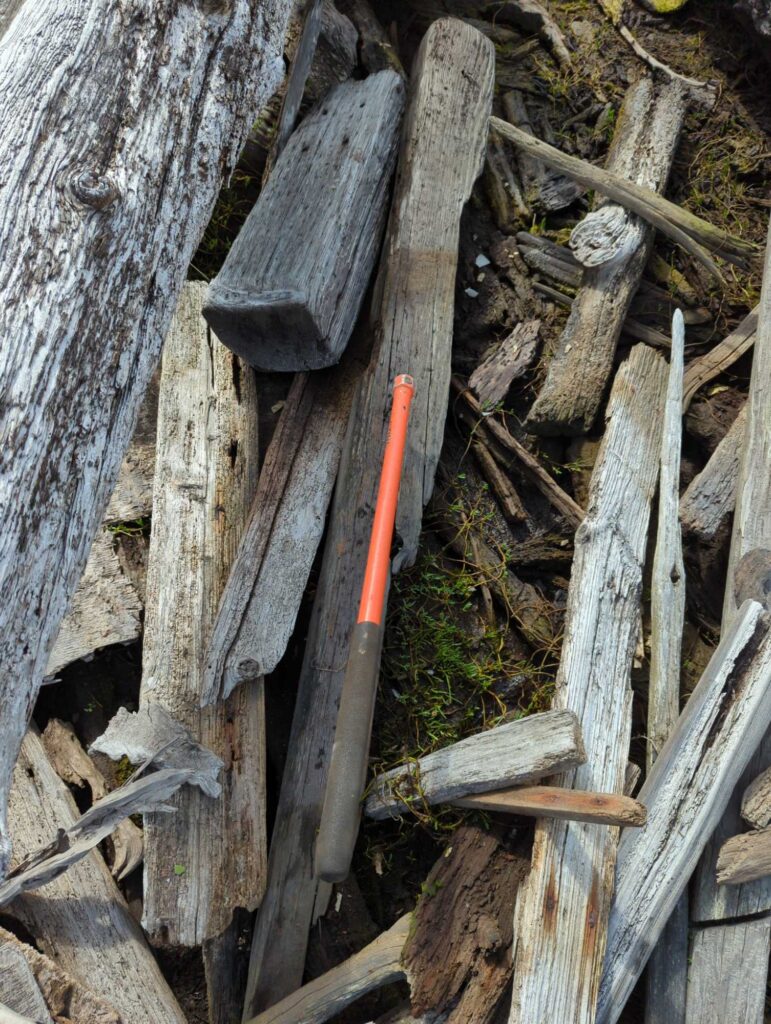 a hammer in a tree (MyCoast AI)