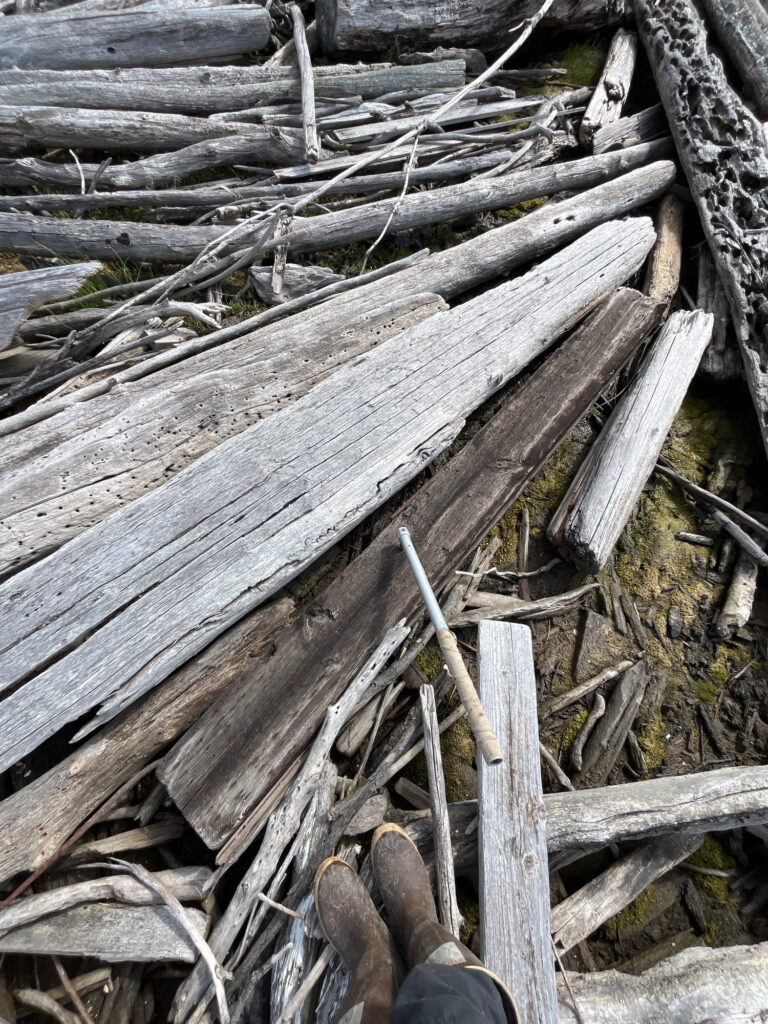 a pile of wood (MyCoast AI)