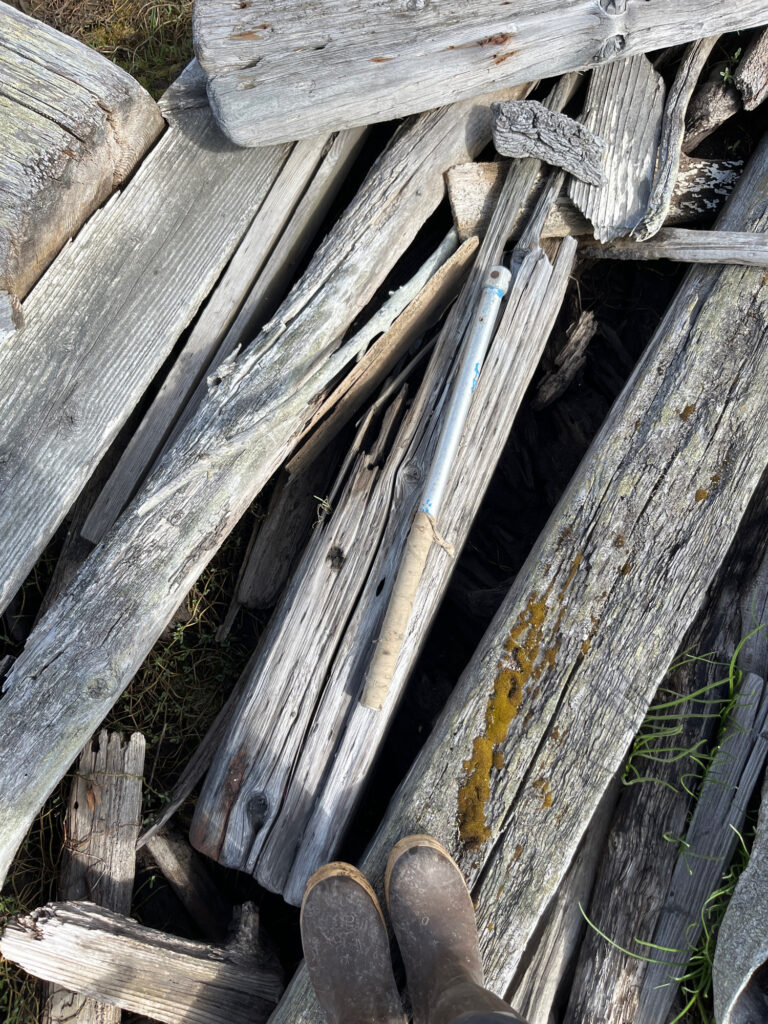 a pile of wood (MyCoast AI)