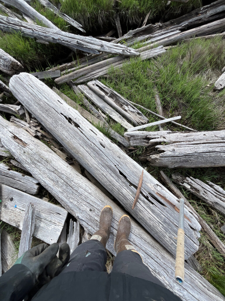 a person's feet on a wooden bridge over a river (MyCoast AI)