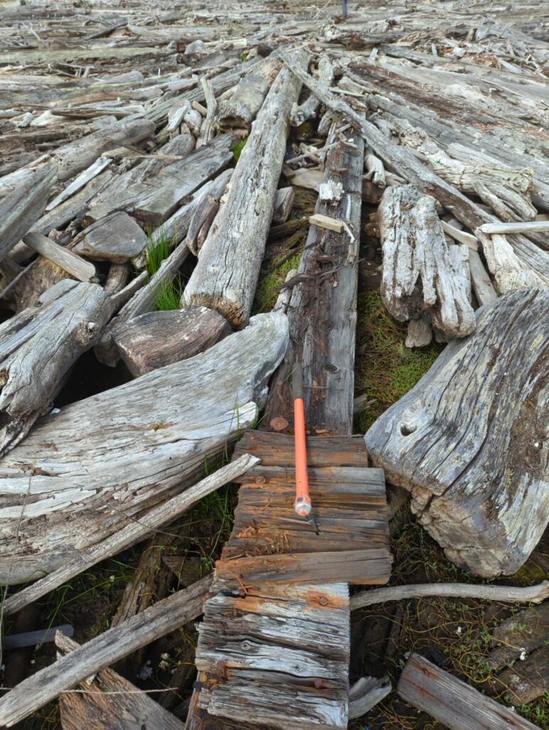 a wooden bridge made of logs (MyCoast AI)