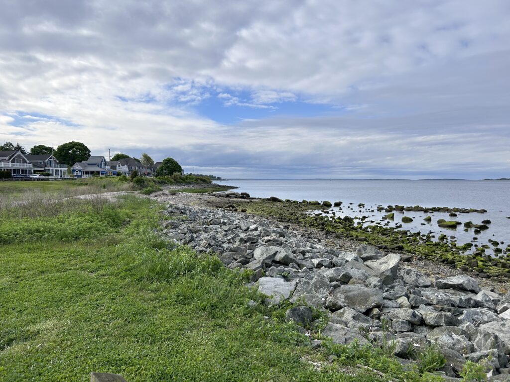 a rocky beach with houses and water (MyCoast AI)