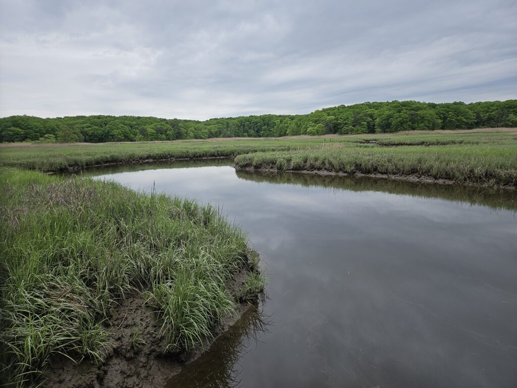 a body of water with grass and trees around it (MyCoast AI)