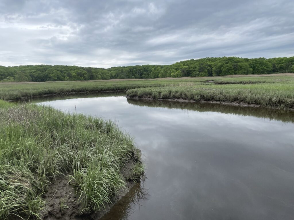 a body of water with grass and trees around it (MyCoast AI)