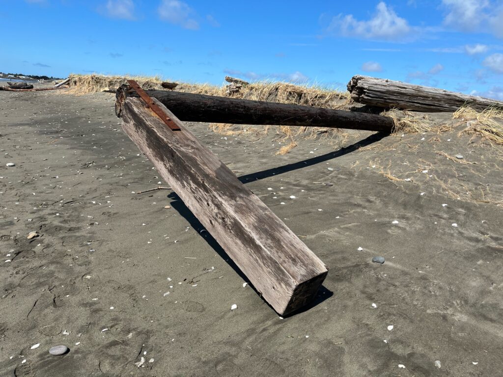 a wooden bench on a beach (MyCoast AI)
