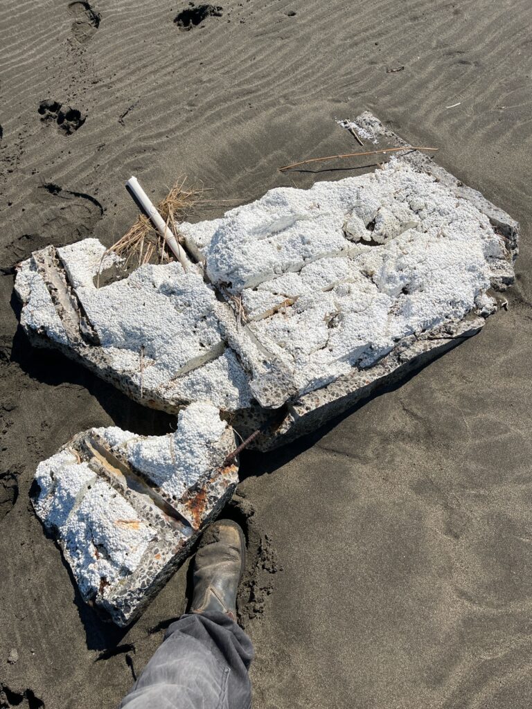 a person's foot on a beach with a pile of snow (MyCoast AI)