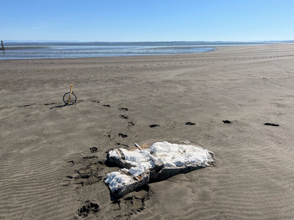 a bicycle parked on a beach (MyCoast AI)