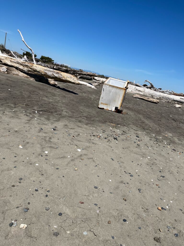 a bench on a beach (MyCoast AI)
