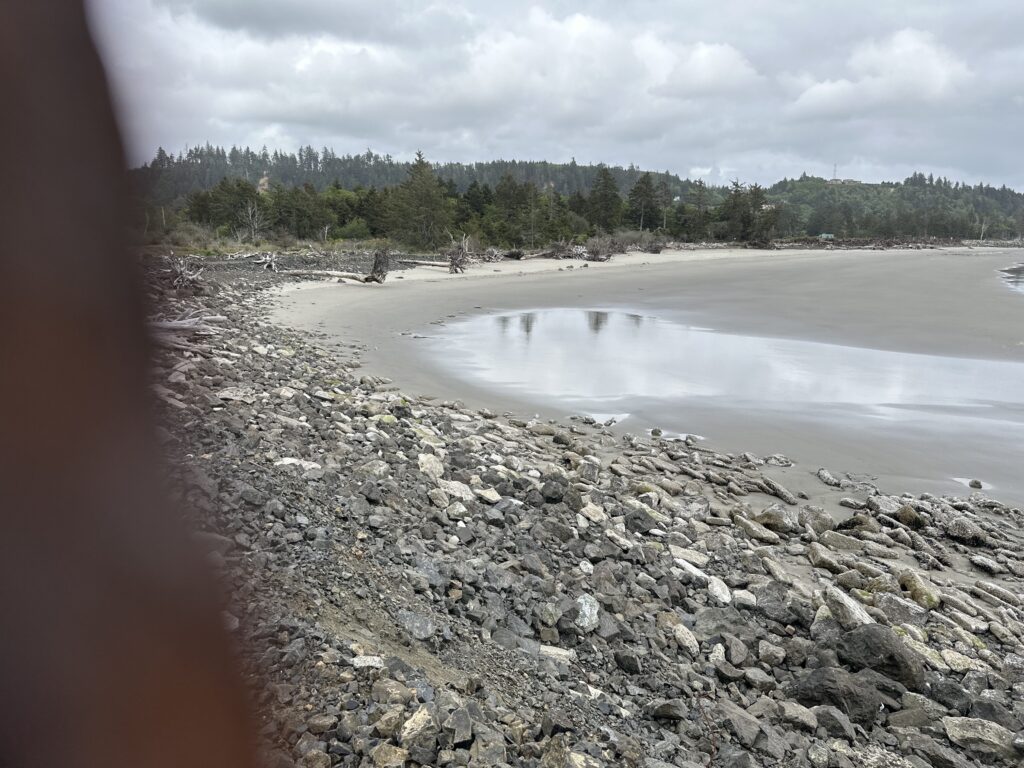 a rocky beach with a body of water in the background (MyCoast AI)