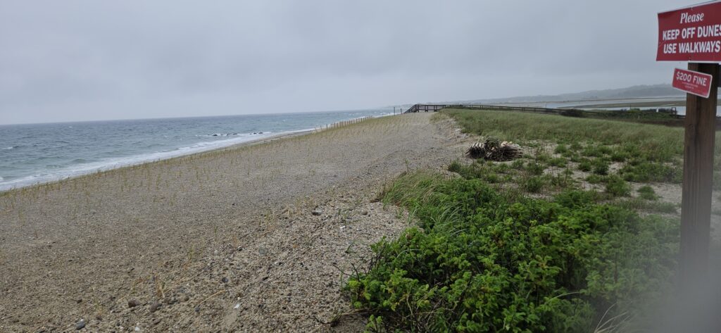 a beach with a sign (MyCoast AI)