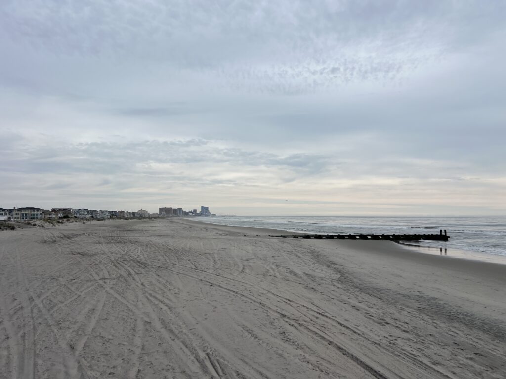 a person walking on a beach (MyCoast AI)