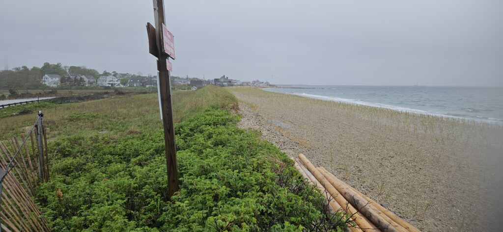 a path next to a beach (MyCoast AI)