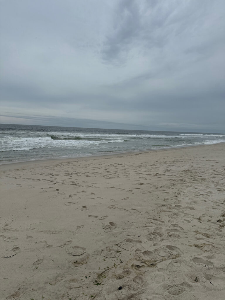 a beach with waves crashing (MyCoast AI)