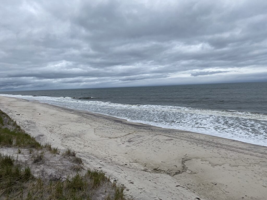 a beach with waves crashing on it (MyCoast AI)