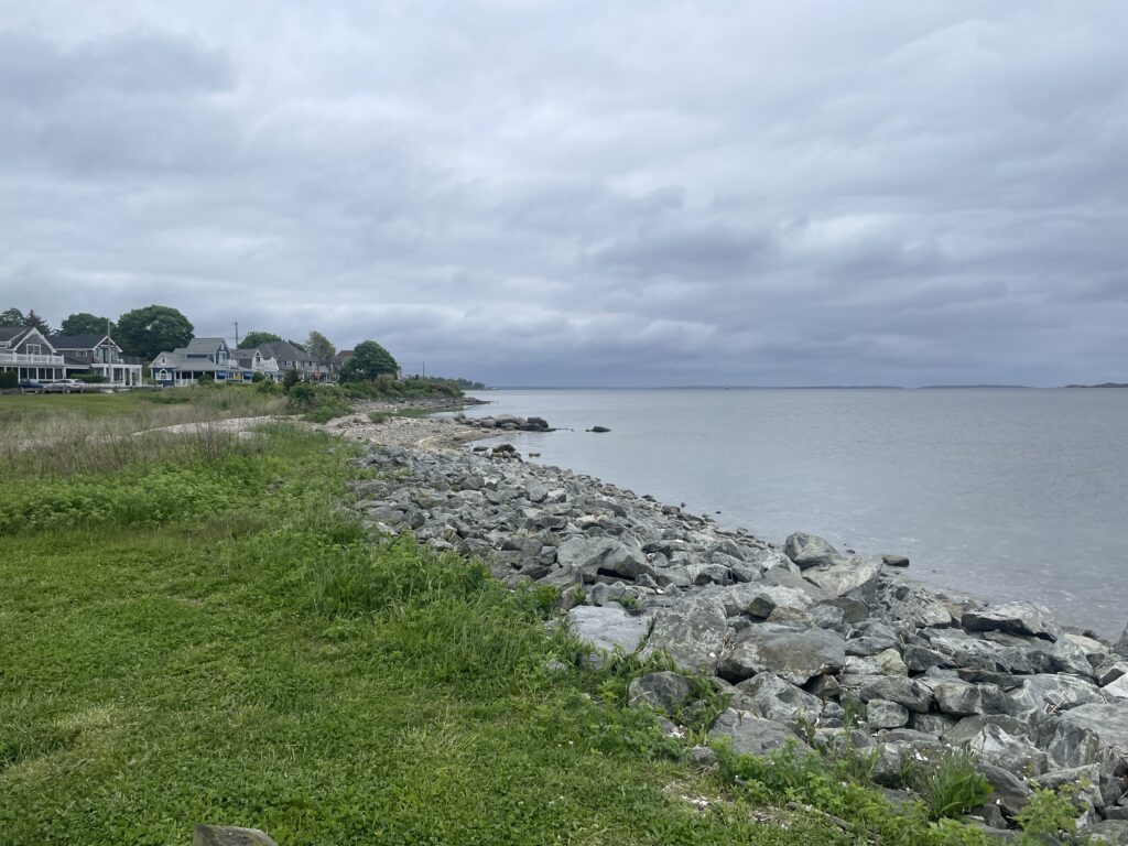 a rocky beach with houses and trees (MyCoast AI)