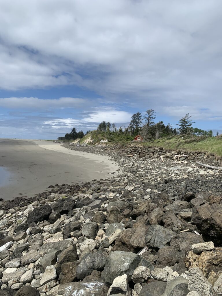 a rocky beach with trees and a road (MyCoast AI)