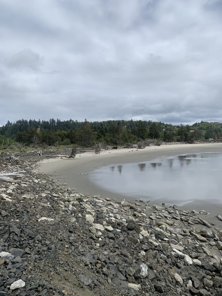 a rocky beach with trees in the background (MyCoast AI)