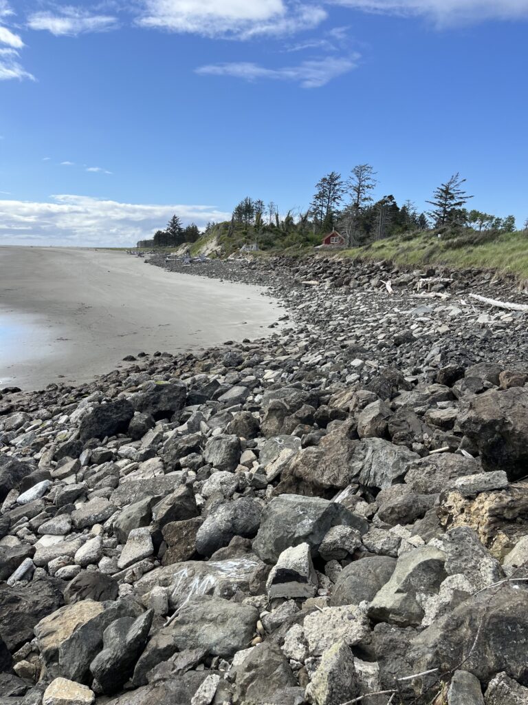 a rocky beach with trees and a body of water in the background (MyCoast AI)
