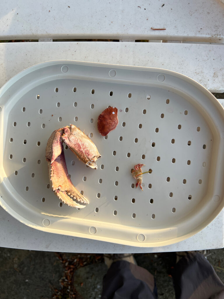 a plate of food (MyCoast AI)