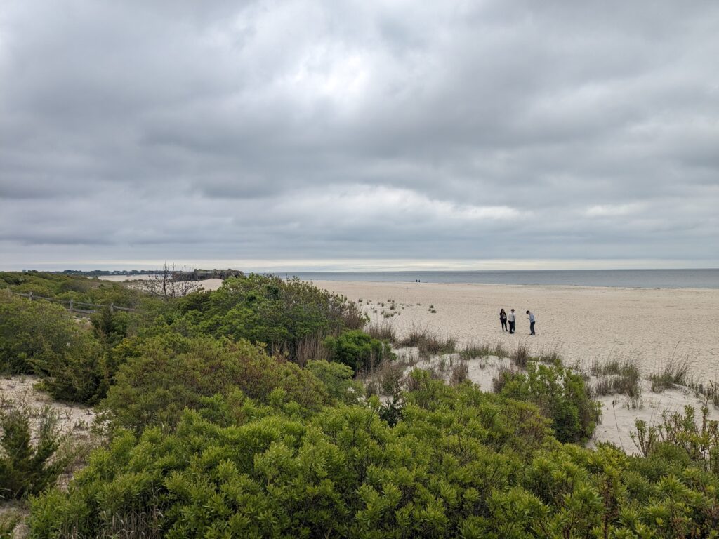 a group of people walking on a path through a grassy area (MyCoast AI)