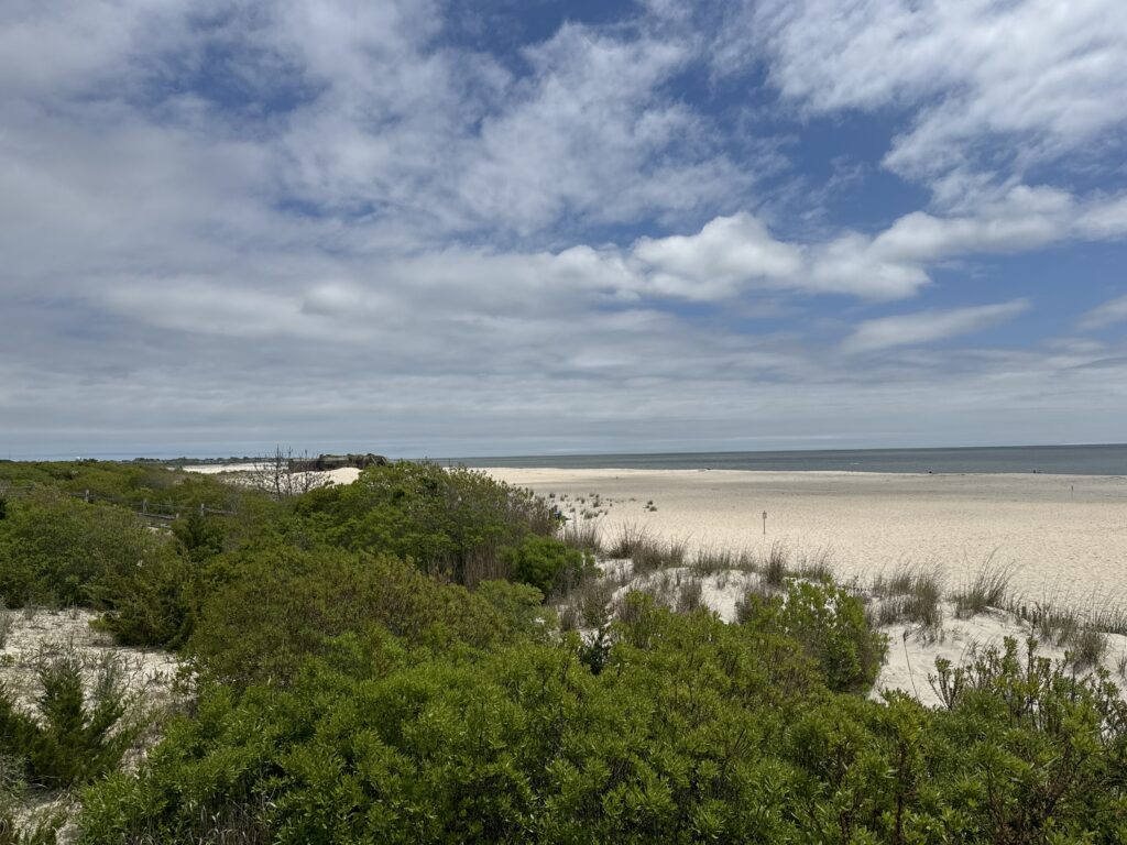 a beach with trees and bushes (MyCoast AI)