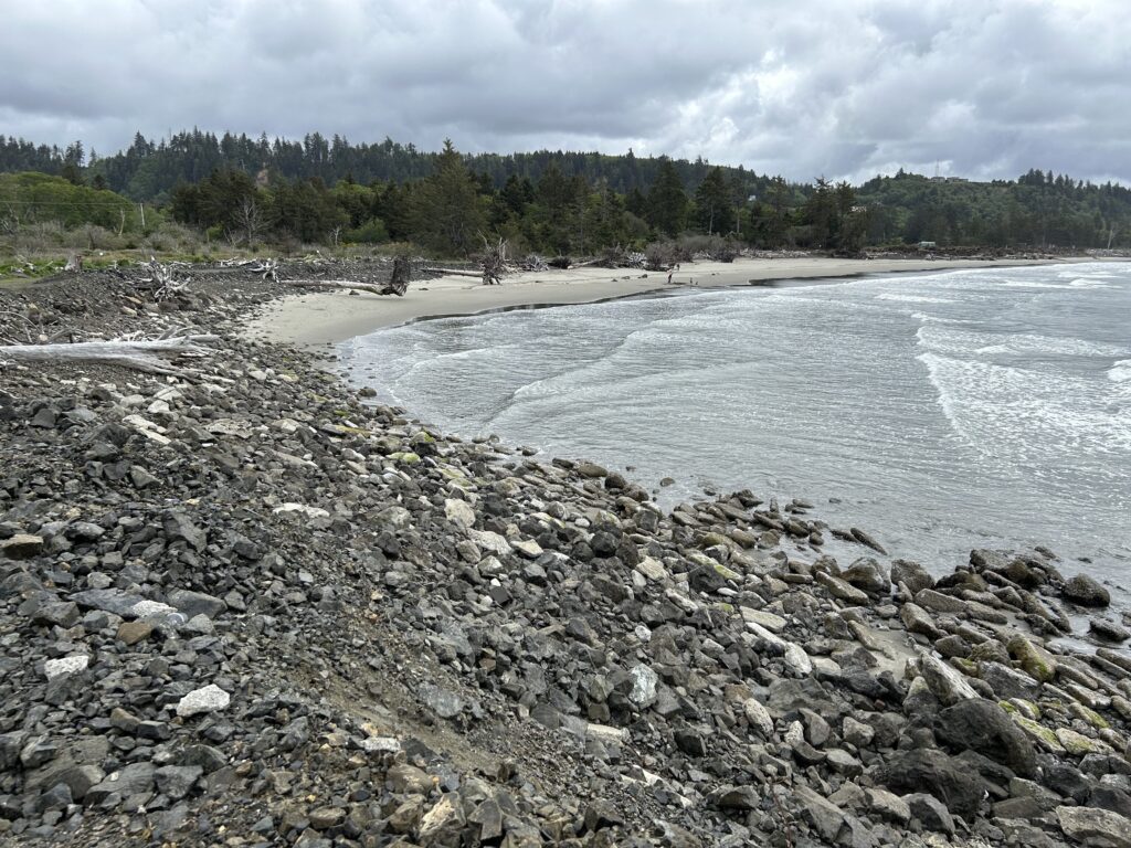 a rocky beach with trees in the background (MyCoast AI)