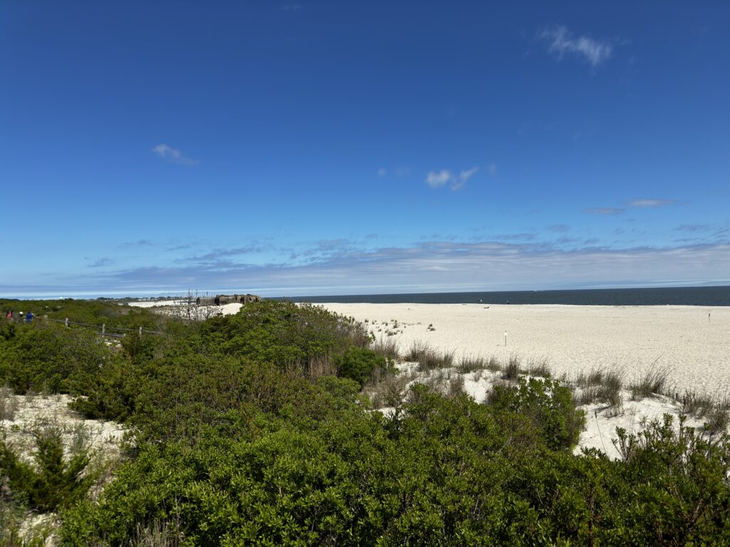 a beach with trees and bushes (MyCoast AI)