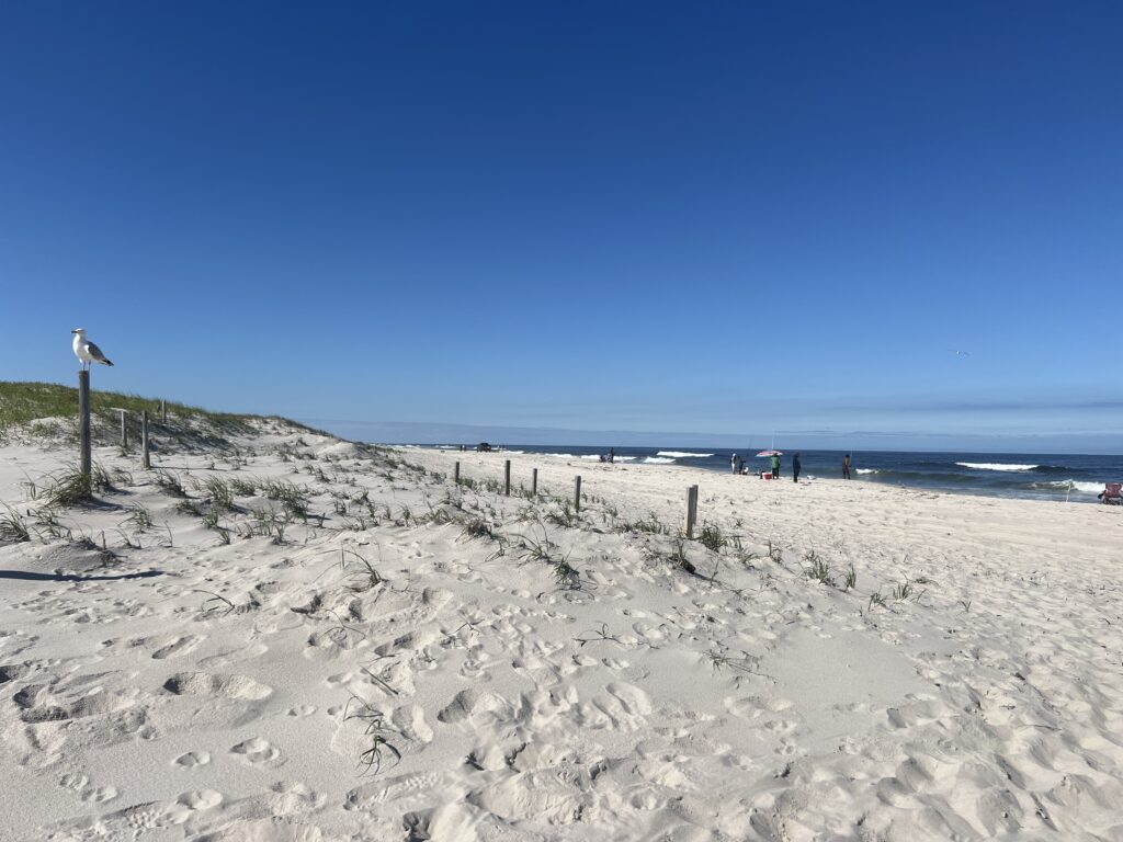 a beach with people walking on it (MyCoast AI)
