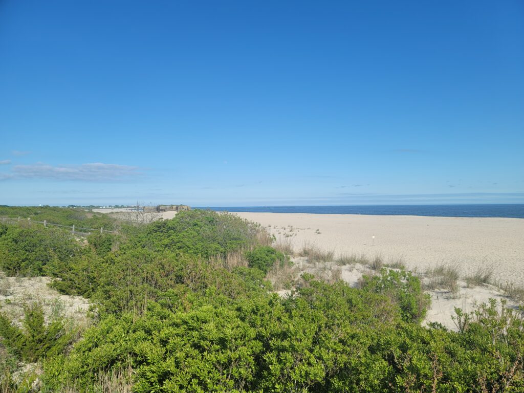 a sandy beach with trees (MyCoast AI)