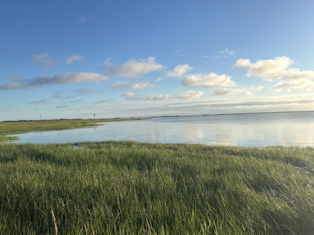 a body of water with grass and a land with a blue sky (MyCoast AI)