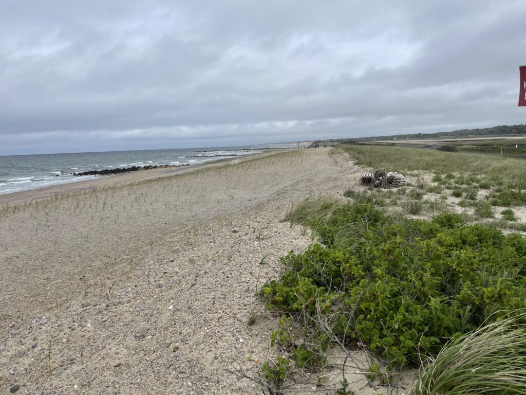 a sandy beach with bushes and water (MyCoast AI)