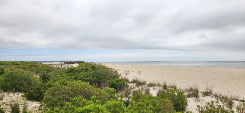 a sandy beach with trees and bushes (MyCoast AI)