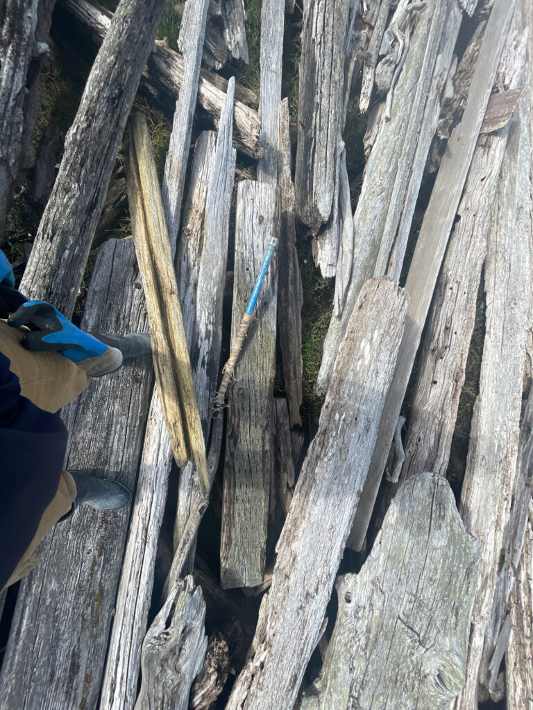 a group of wood pieces (MyCoast AI)