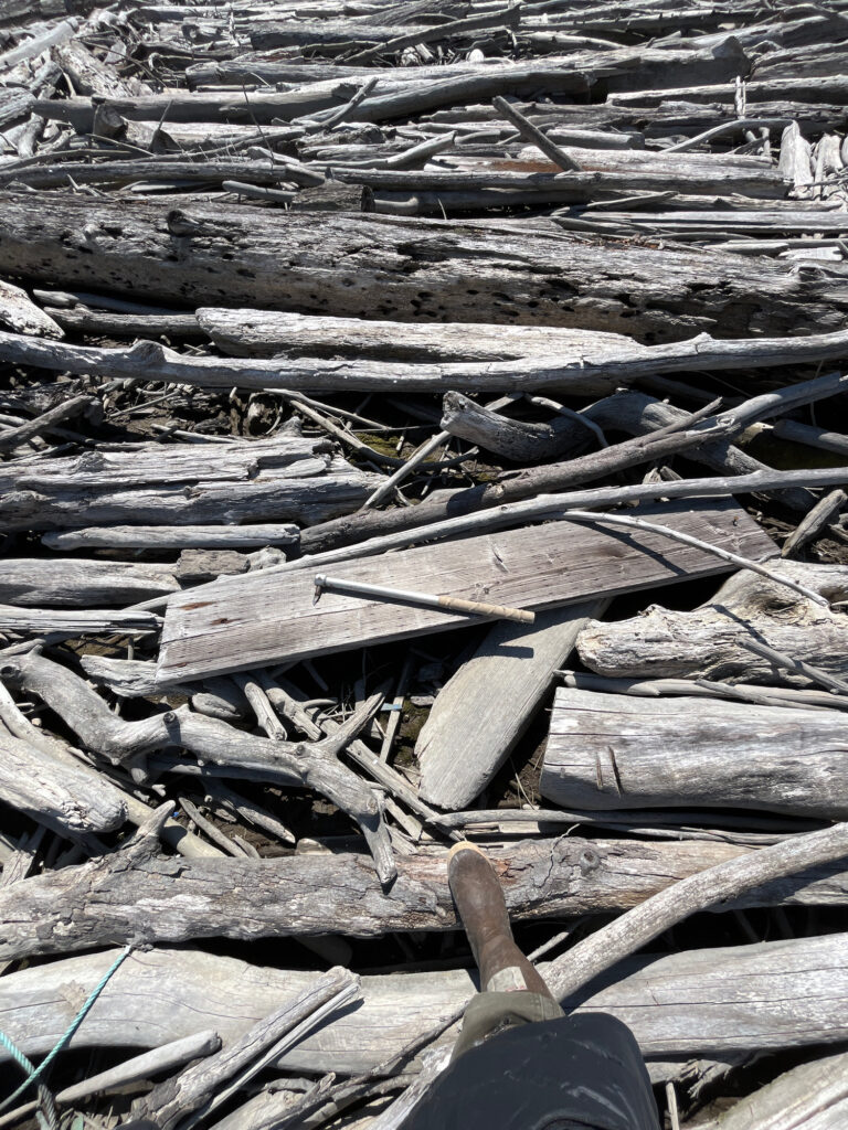 a pile of wood (MyCoast AI)