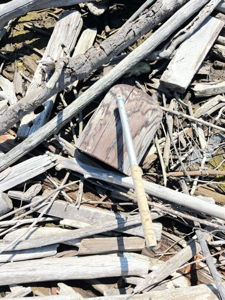 a broken piece of wood (MyCoast AI)
