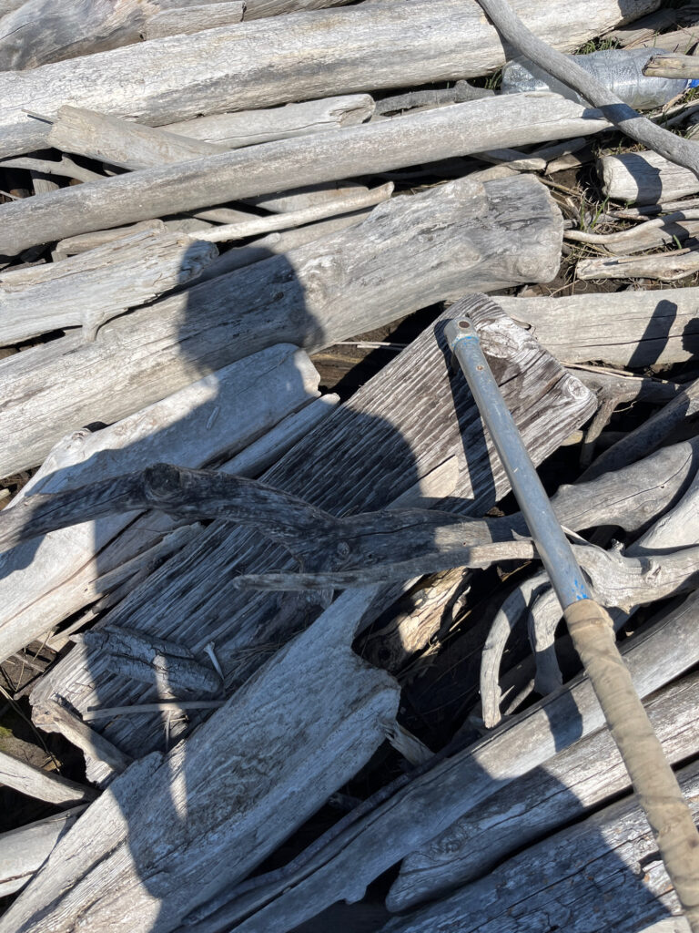 a pile of wood (MyCoast AI)