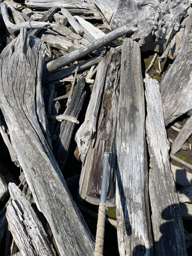 a pile of cut wood (MyCoast AI)