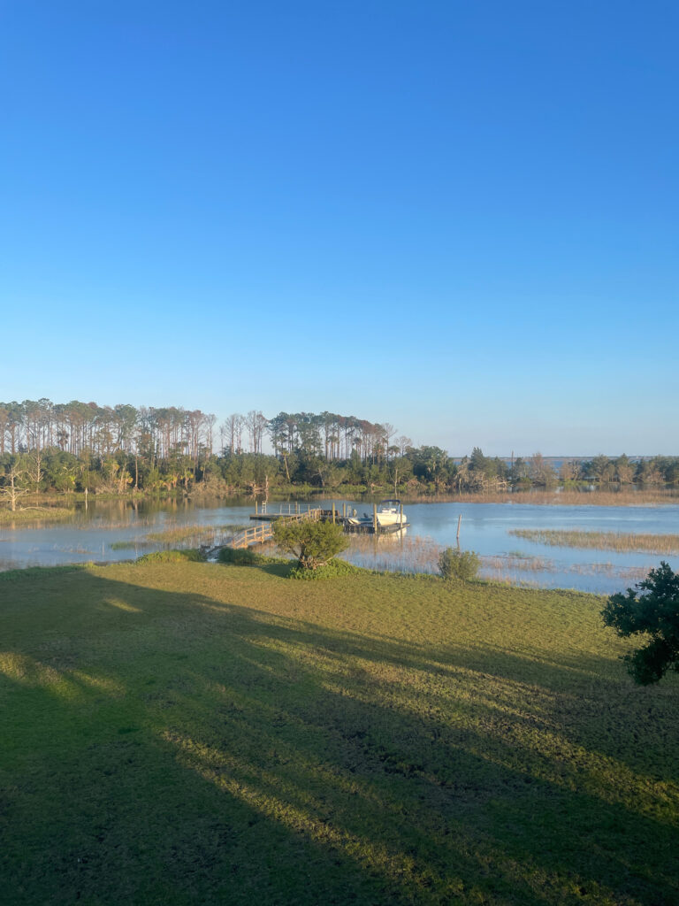 a grassy area next to a body of water with a boat in it (MyCoast AI)