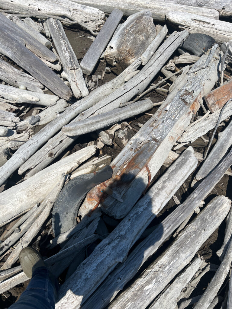 a pile of wood (MyCoast AI)