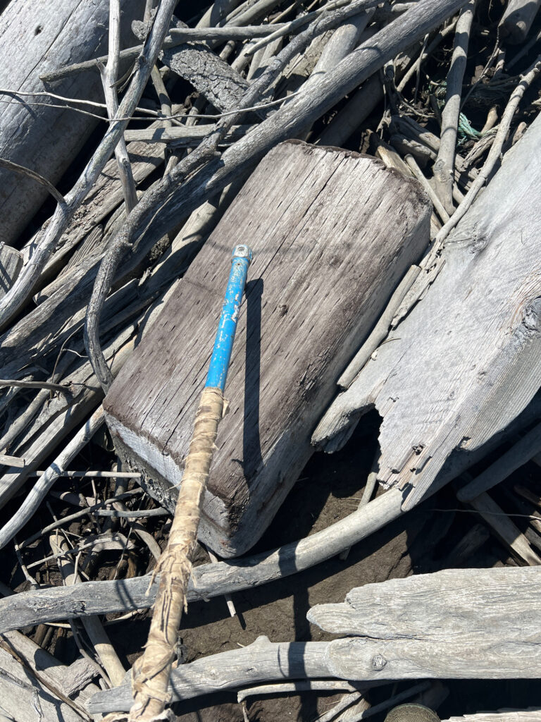a blue pen on a wooden box (MyCoast AI)
