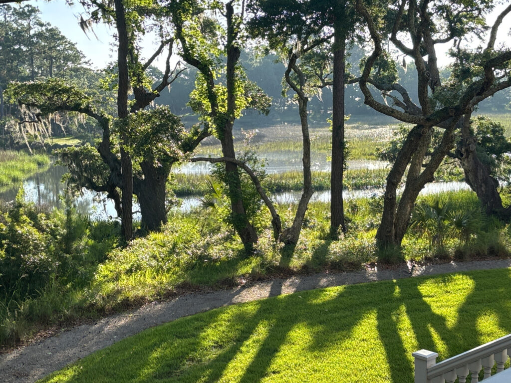 a grassy area with trees and a body of water in the background (MyCoast AI)