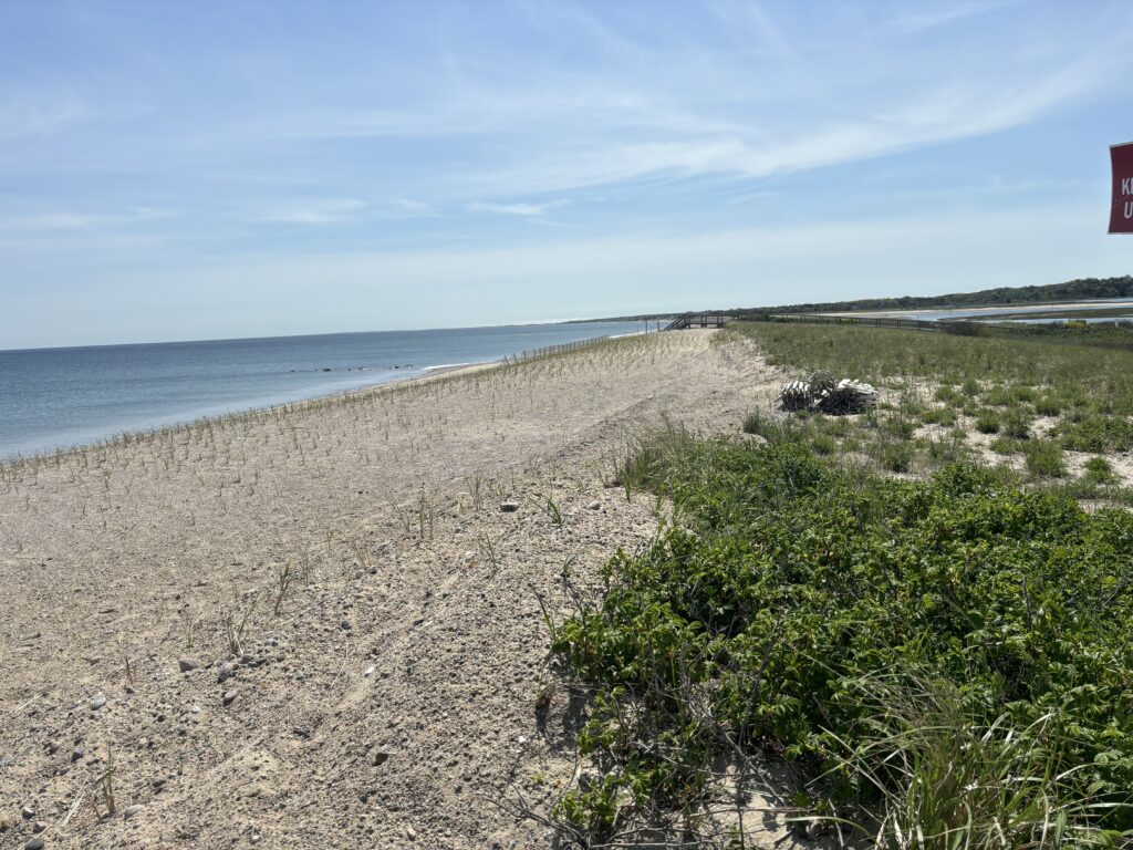 a sandy beach with bushes and a body of water in the background (MyCoast AI)